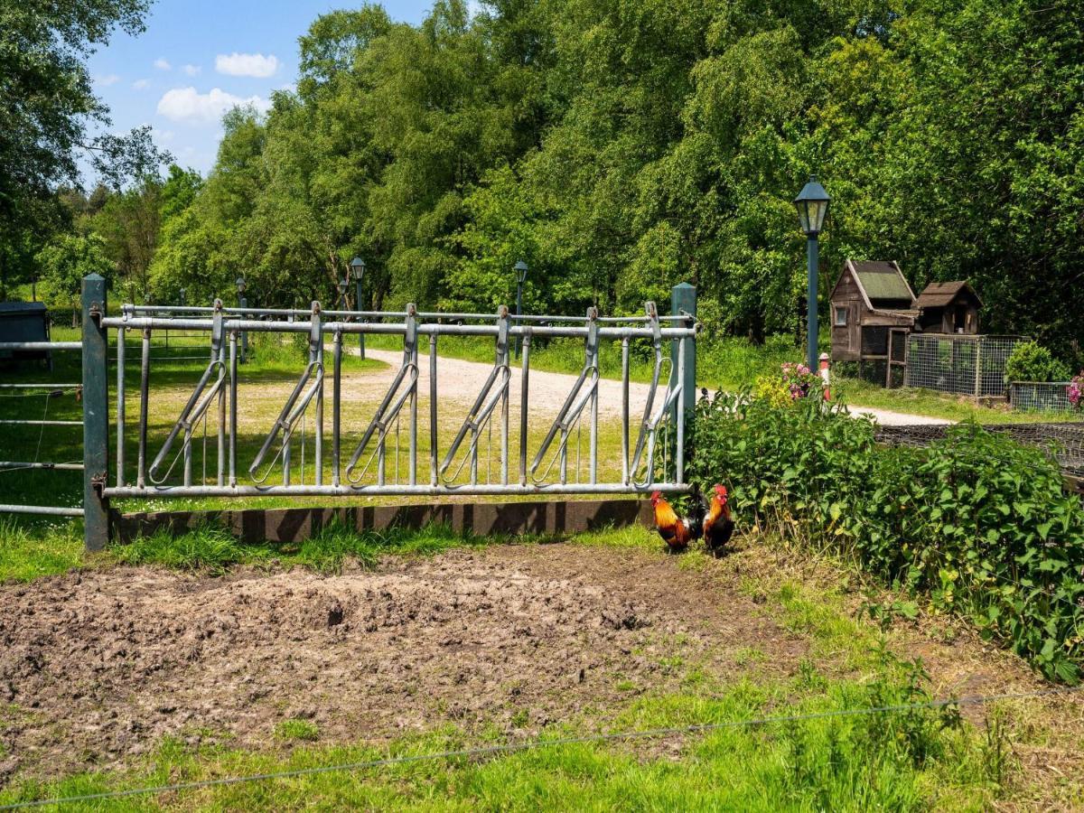 A Lovely Cottage On The Dwingelderveld Nature Park Beilen Екстериор снимка