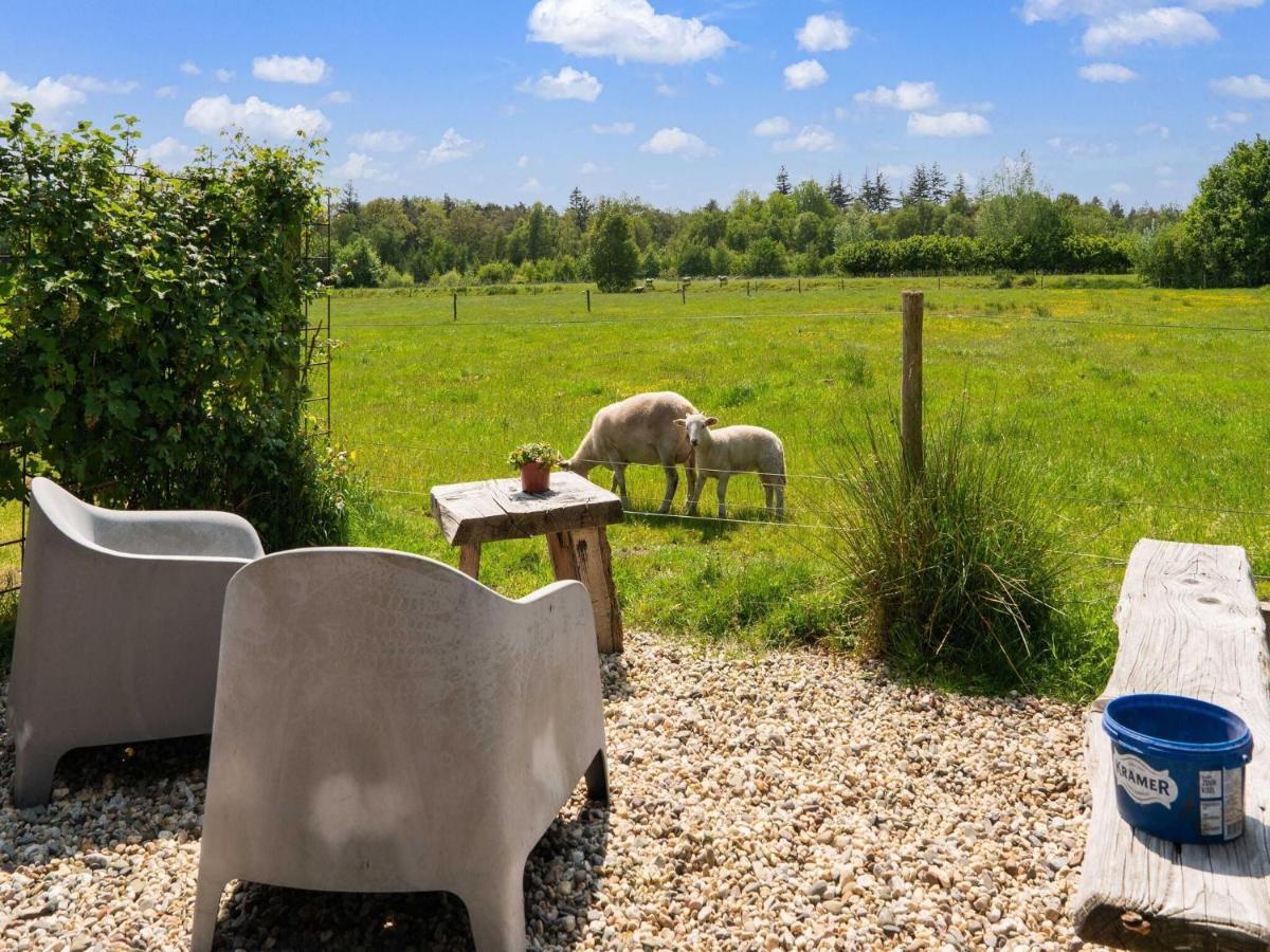 A Lovely Cottage On The Dwingelderveld Nature Park Beilen Екстериор снимка